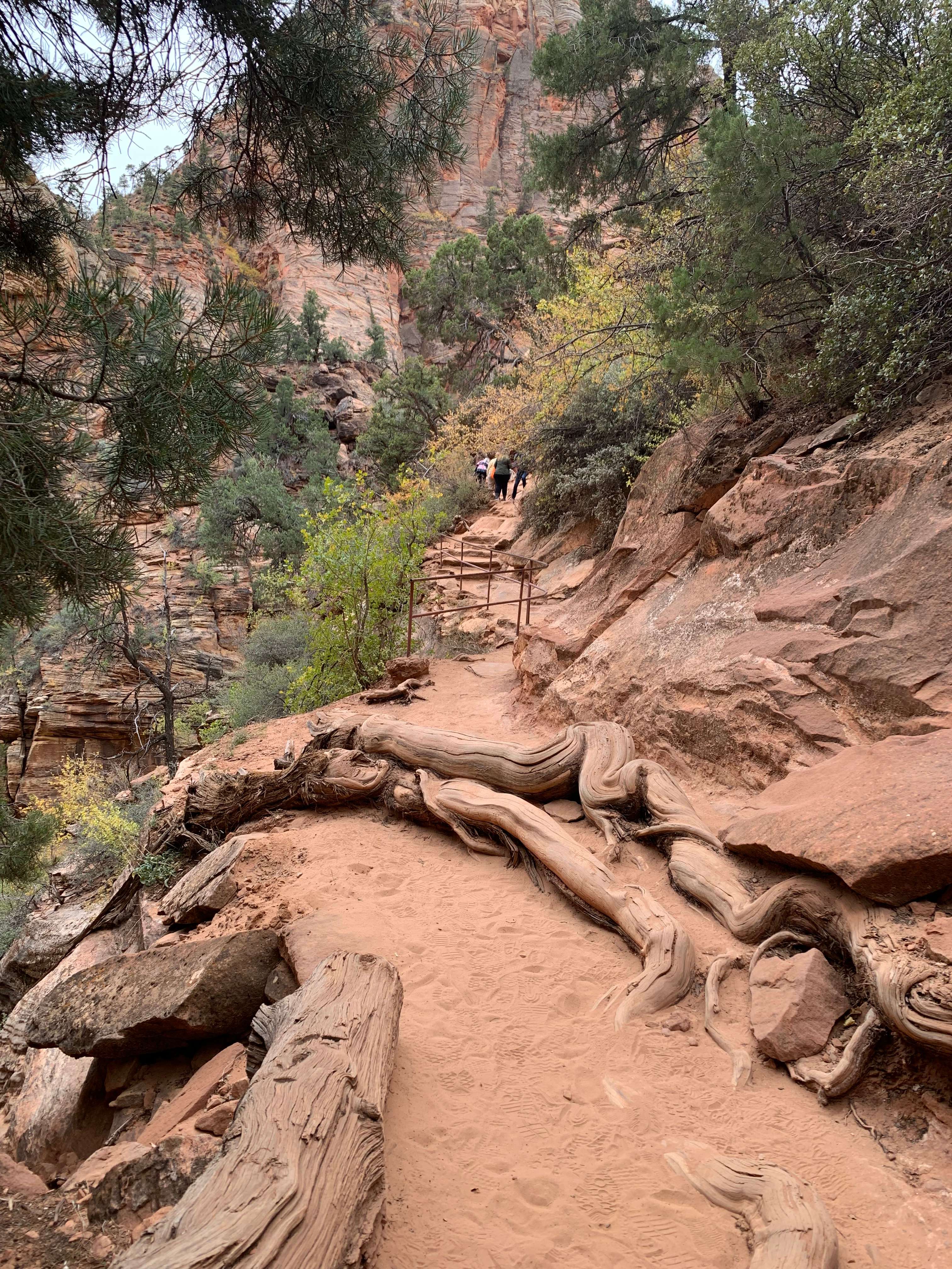 Zion NP